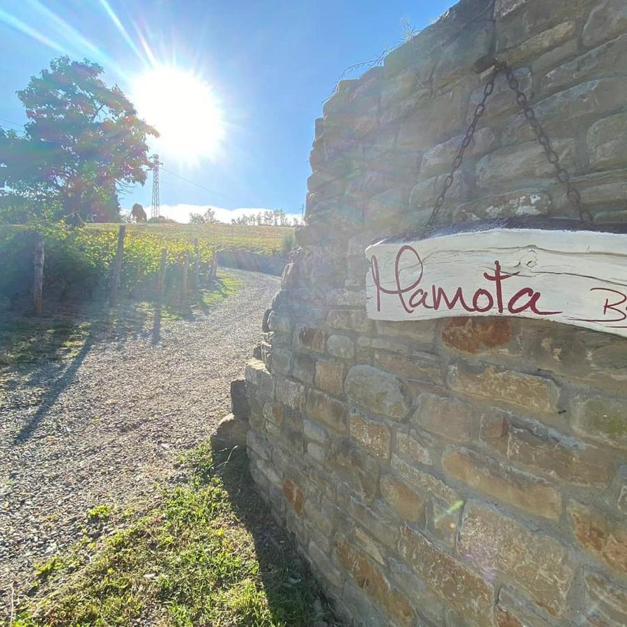 Mamota B&B Vesime Exterior foto